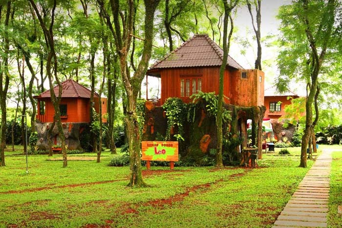 Rumah Pohon Leo bogor