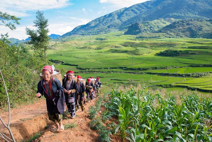 Negara Favorit Turis Bule di Asia Tenggara