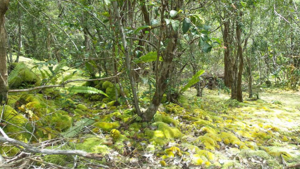Gunong Lumut Geopark Belitong via belitungisland