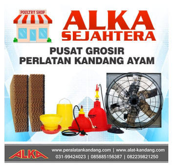 tempat minum ayam otomatis