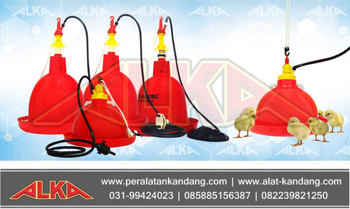 tempat minum ayam otomatis