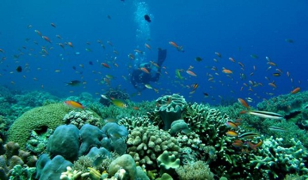 Taman Laut Taka Bonerate