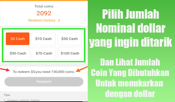 Dollar Paypal Gratis