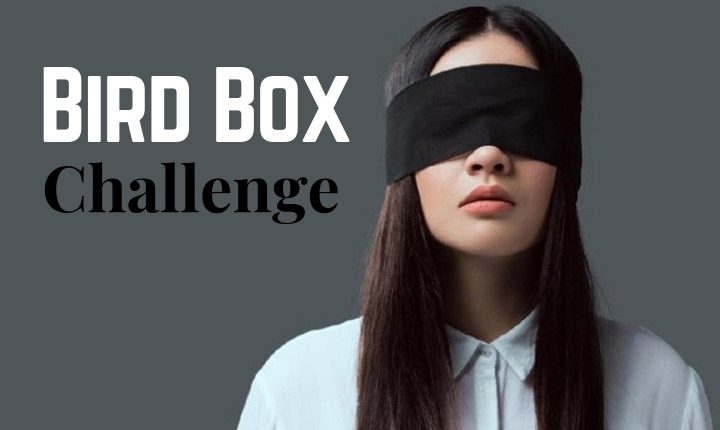 bird box challenge