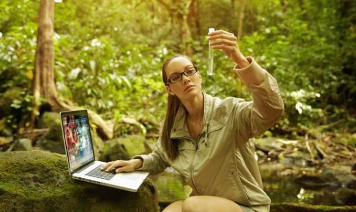 Pekerjaan Bergaji Tinggi untuk Pecinta Lingkungan