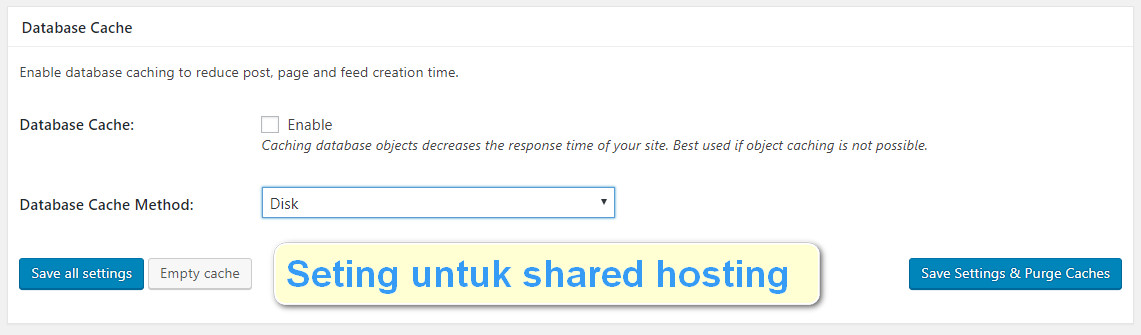 seting w3 total cache