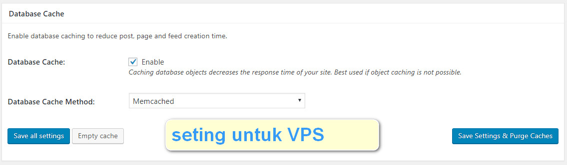 seting w3 total cache