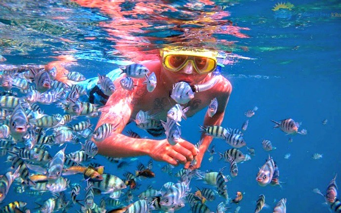 paket wisata karimunjawa