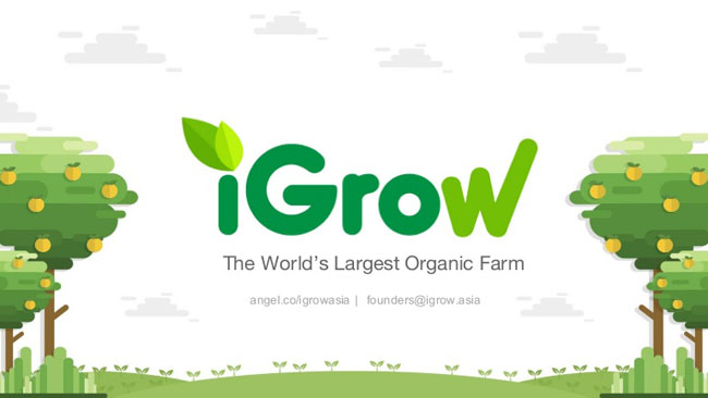 Investasi Pertanian Online