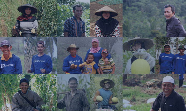 investasi pertanian online