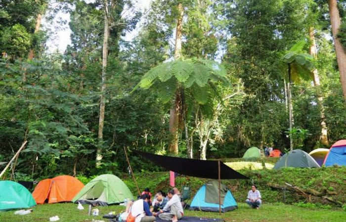 Tempat Camping Yang Paling Seru dan Indah Pemandangannya