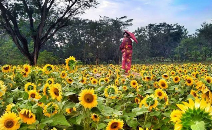Taman Nawari Yogjakarta