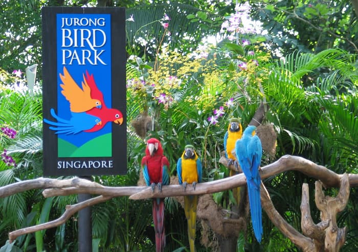 jurong bird park singapura