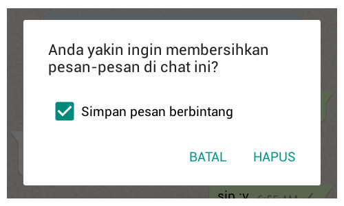 Cara Mengontrol Ruang Penyimpanan Data Whatsapp