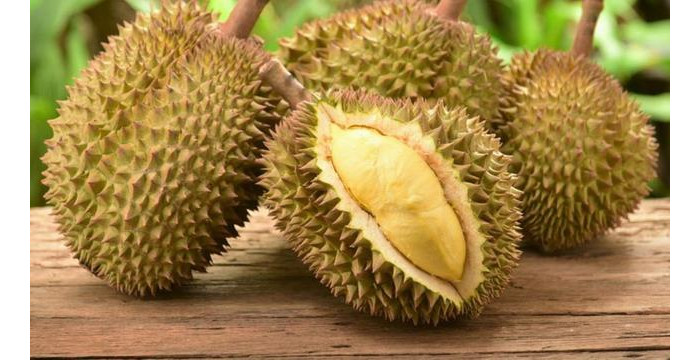 Membawa Makanan yang Berbau Tajam