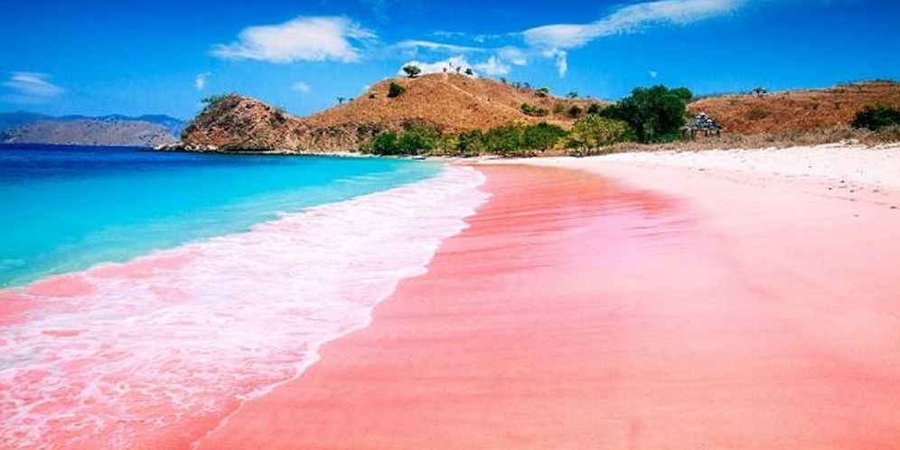pantai pink