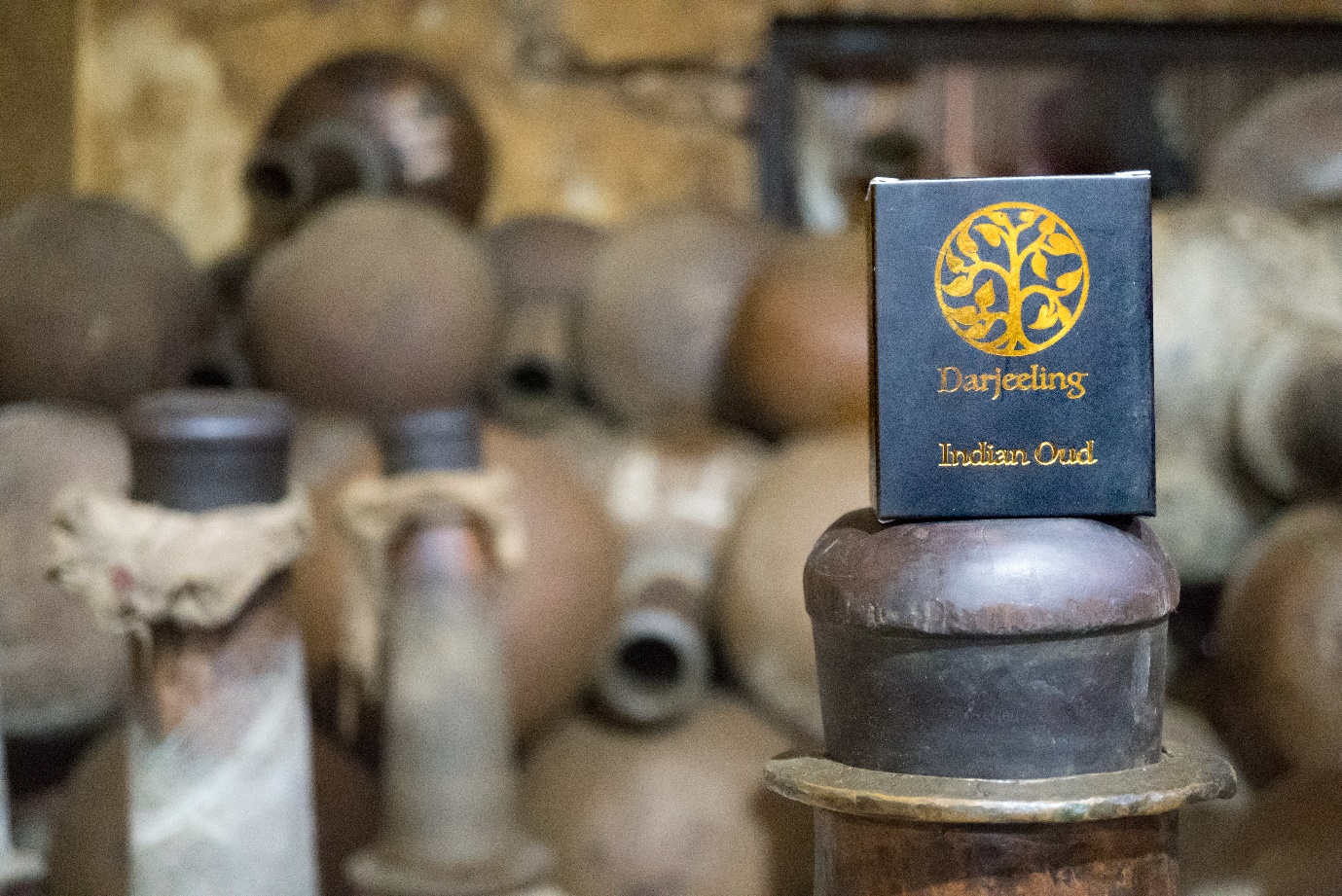 Vetiver Essential Oil