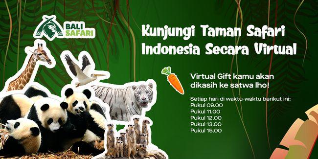 Cara Live Streaming Satwa Taman Safari