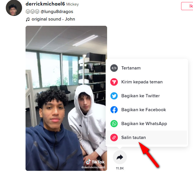 Pengunduh Video Tiktok Gratis