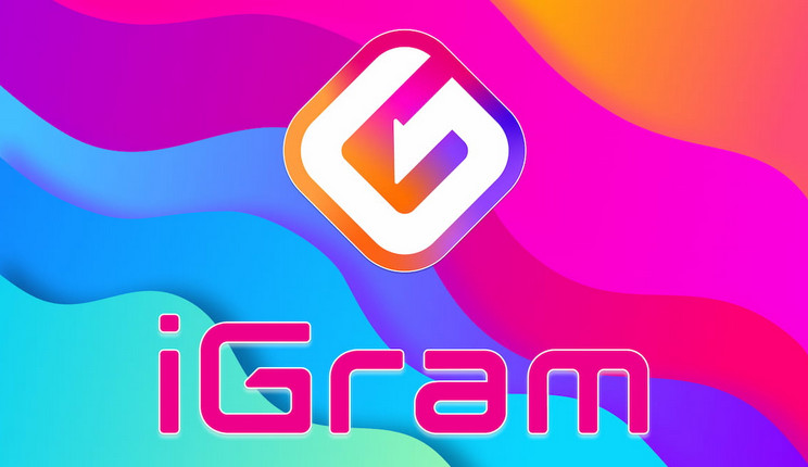 Instagram Reels Video Download