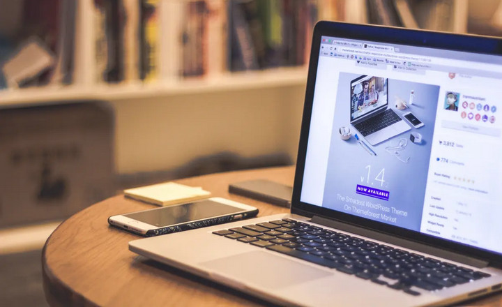 Peluang Usaha Online