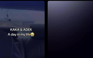 Fakta di Balik Video Viral Kakak dan Adik Berdurasi 17 Menit di TikTok